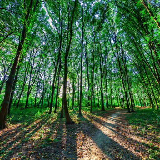 Familienberatung Eltern Kinder Malente Naturnah