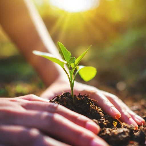 Heilpädagogik Entwicklung verstehen und begleiten