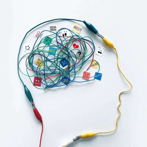 Neurosystemische Integration​